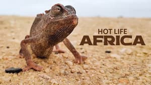 Hot Life: Africa — foto 1