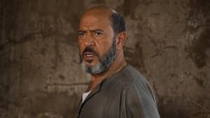 السادة الأفاضل — foto 3