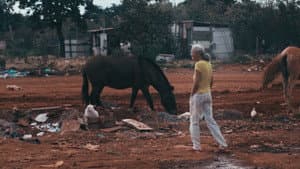 Maluco Voador: Além do Som — foto 1