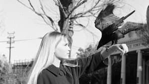 Peyton Place — foto 10