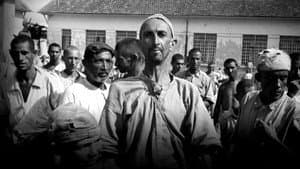 Holocausto Brasileiro — foto 1