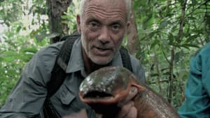 Episodio 2