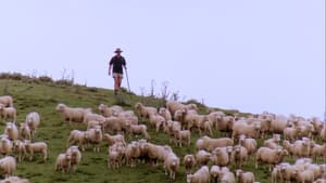 Trailblazers: The New Zealand Story — foto 9