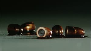 真・仮面ライダー序章 — foto 8