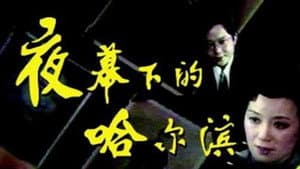 夜幕下的哈尔滨 — foto 1