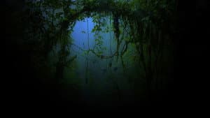 From Shock to Awe — foto 1