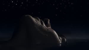 Casiopea — foto 4