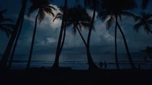 Fòs - Chronique de l'escrime Guadeloupéenne — foto 1