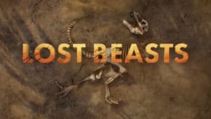 Lost Beasts — foto 3