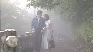 ザ・衝撃 — foto 1