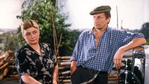 Entäs nyt, Niskavuori? — foto 1