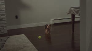 Breaking & Egg-tering — foto 5