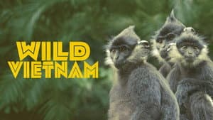 Wild Vietnam — foto 2
