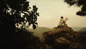 땅거미 — foto 3