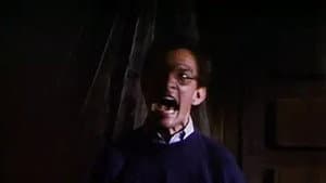 Vacaciones de terror II