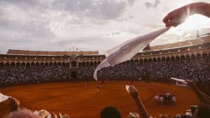 Tardes de soledad — foto 2