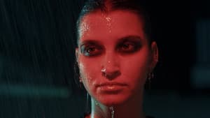 Animus — foto 1
