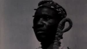 Teu Nome Veio de África — foto 1