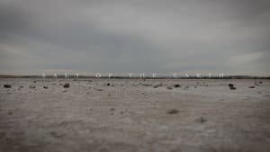 Salt of the Earth — foto 4