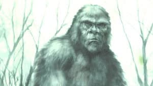 Boggy Creek Monster — foto 1