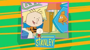 Stanley — foto 3