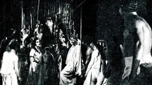 Спартак — foto 3