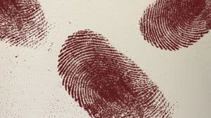 True Crime Belgium — foto 2