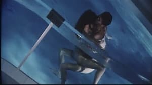 聖熟女 — foto 6
