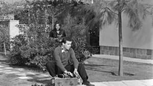 Ο Λουστράκος — foto 11