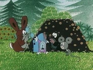 Episodio 31