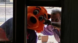 Cool Cat vs Dirty Dog 'The Virus Wars' — foto 5