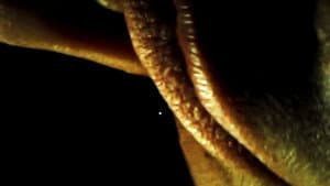 Kinetic — foto 1
