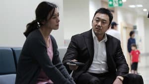 공정사회 — foto 5