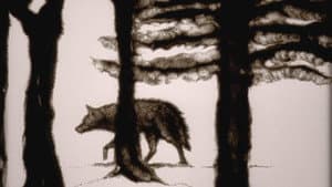 The Hunter — foto 4
