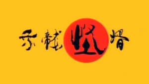 乘龙怪婿 — foto 1