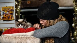 Grumpy Cat's Worst Christmas Ever — foto 6