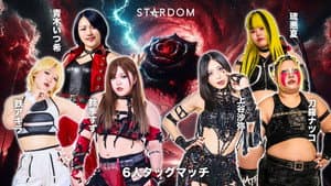 STARDOM GW TOUR 2026 in FUKUYAMA — foto 3