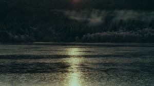 Portrait of a Song — foto 2