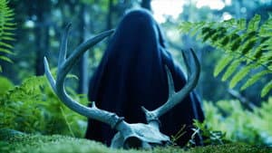 Mother of Flies — foto 5