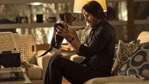 John Wick: Otro Día para Matar — foto 3