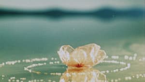 Inspirace — foto 3