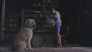 Episodio 12