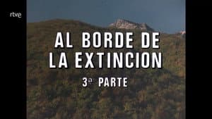 Episodio 83