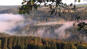 The Black Forest - Mystischer Schwarzwald — foto 1