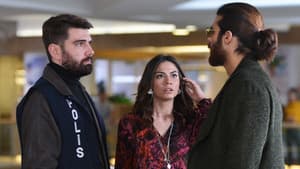 Episodio 25