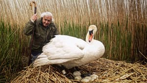 Attenborough's Wonder of Eggs — foto 2
