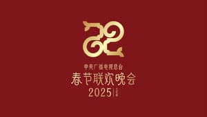 中央广播电视总台春节联欢晚会 — foto 3