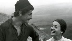 ნატვრის ხე — foto 1