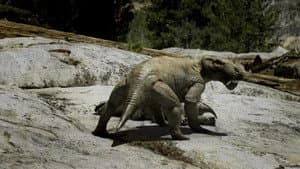 Leaps In Evolution — foto 3
