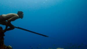 Jago: A Life Underwater — foto 1